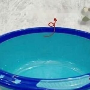Supreme Tub No 4